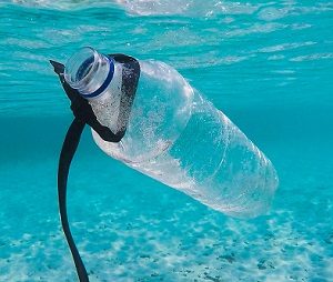 Plastik im Meer Abfallguru Mülltrennung