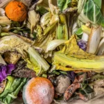 Biomüll 2025: Neue Regeln